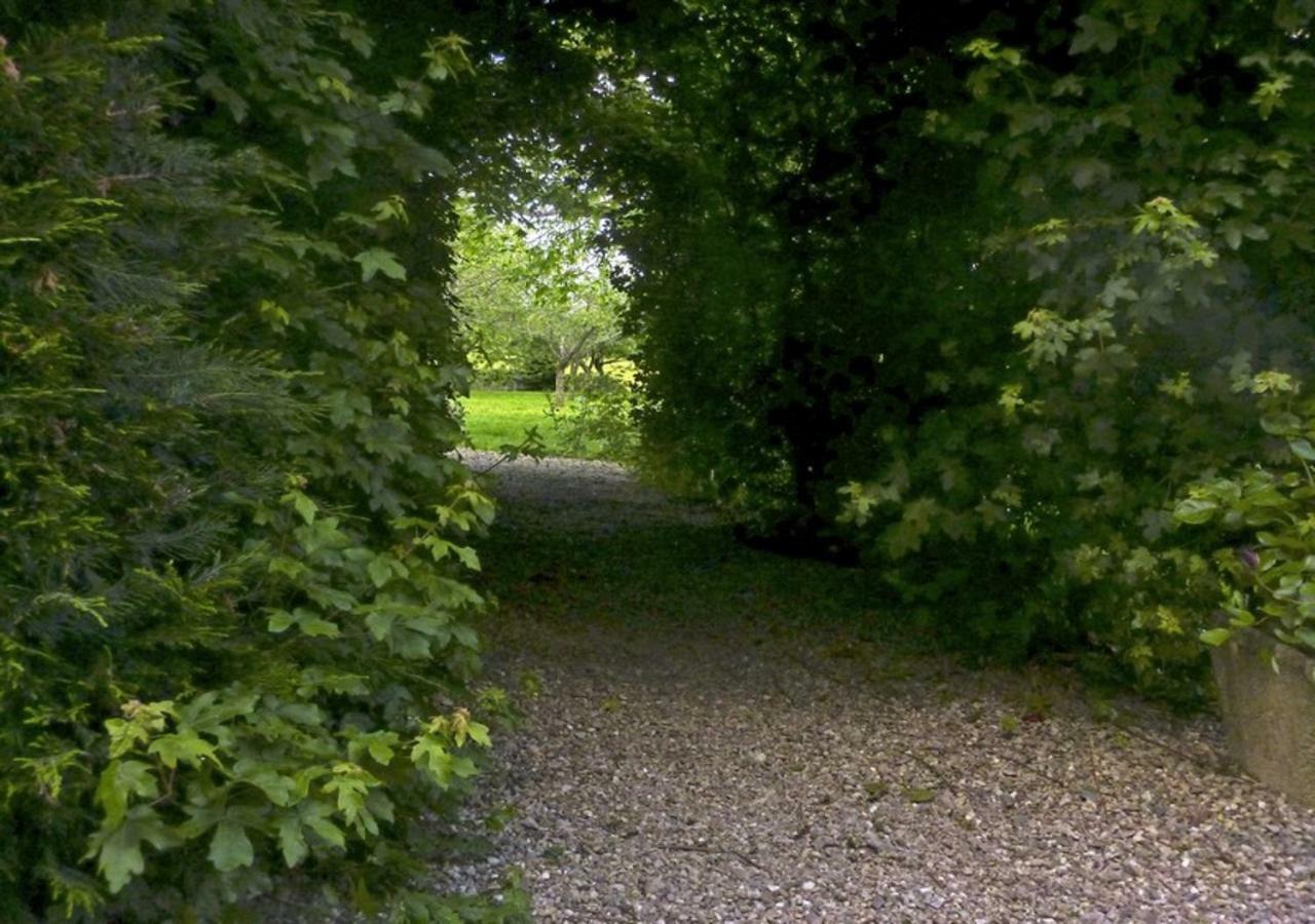 Bed and Breakfast Logis De Chezelles Sidiailles Exterior foto